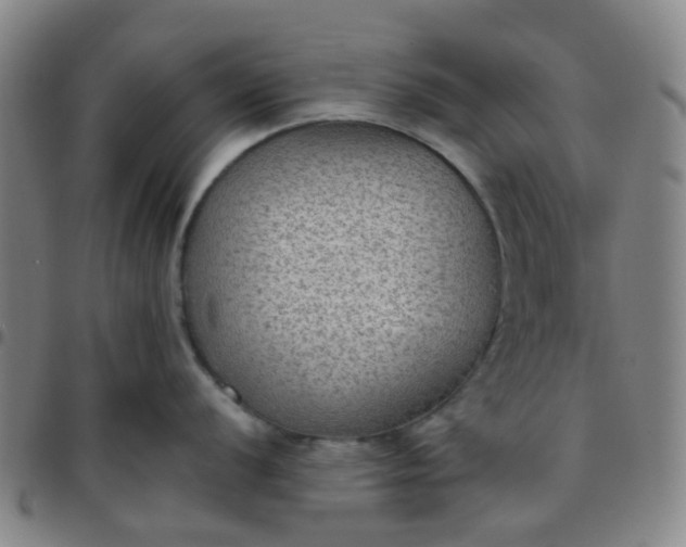 X0000097481056200803071712