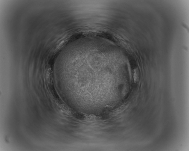 X0000097481059200803071711