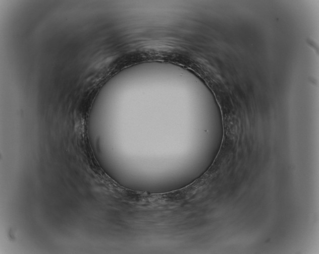 X0000097481061200803071711