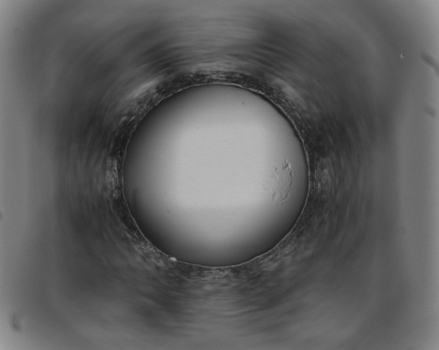 X0000097481062200803071711