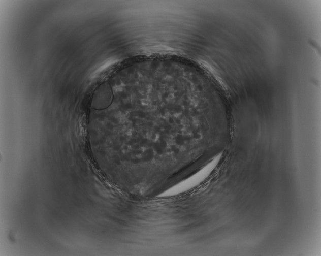 X0000097481063200803071711