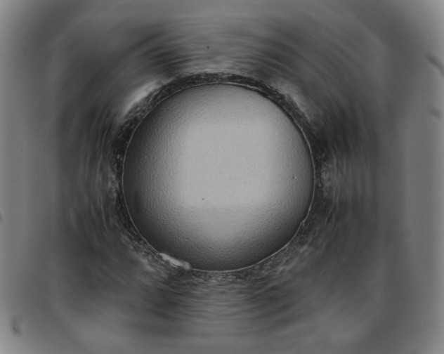 X0000097481064200803071711