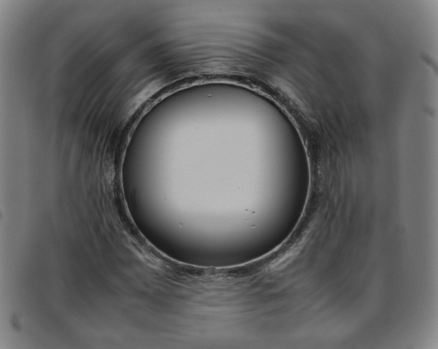 X0000097481065200803071711