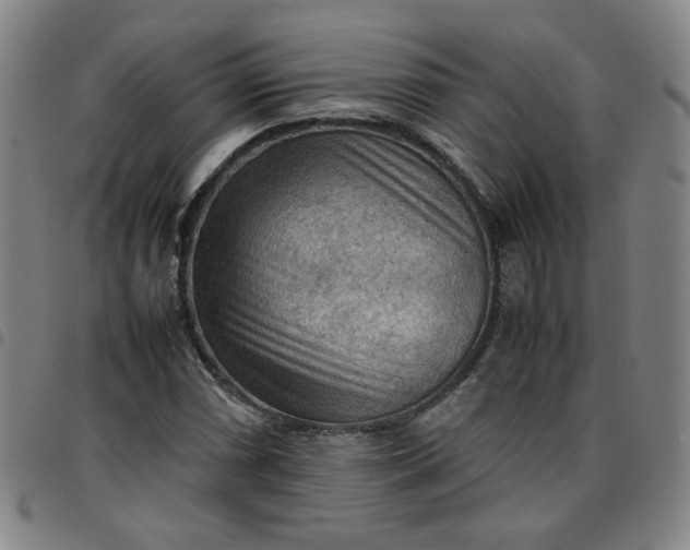 X0000097481066200803071711