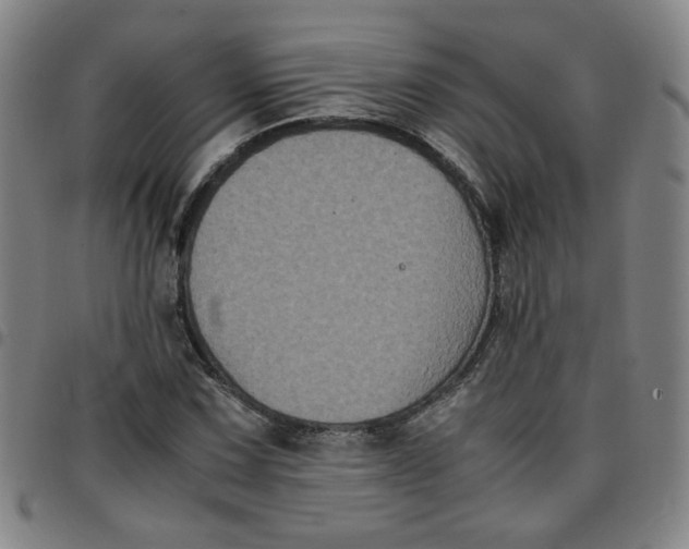 X0000097481067200803071711