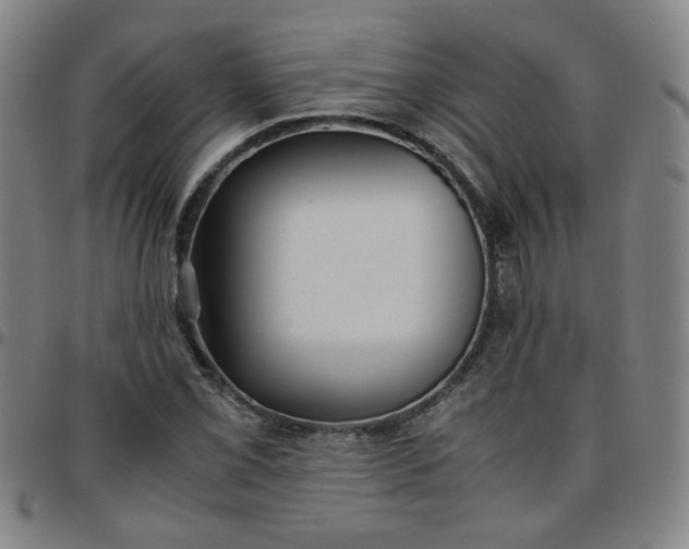 X0000097481069200803071711