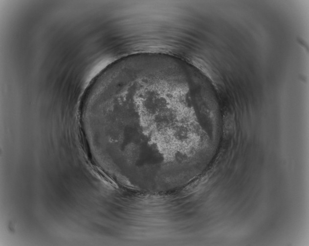 X0000097481071200803071711