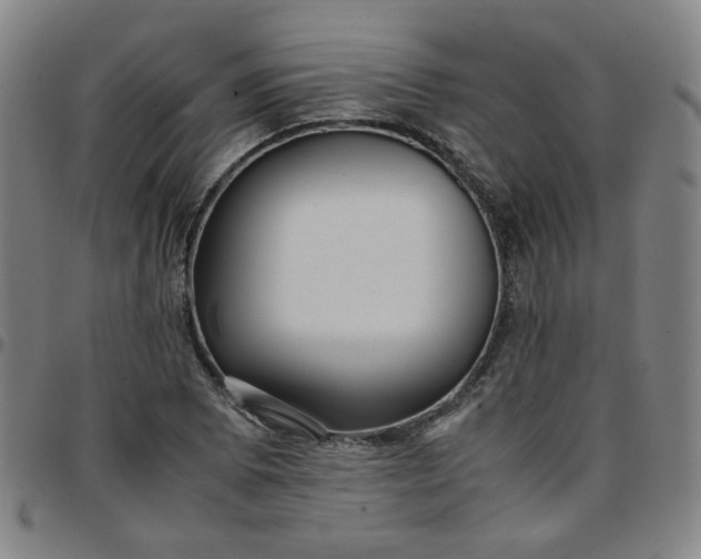 X0000097481073200803071711