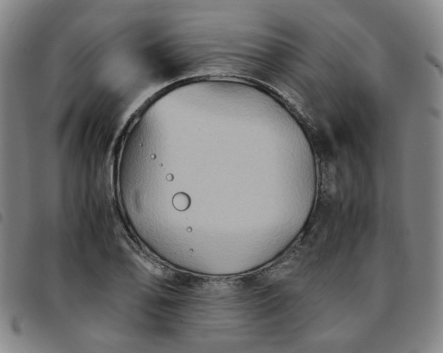 X0000097481078200803071711