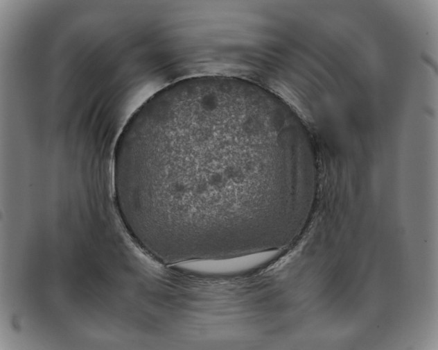 X0000097481079200803071711