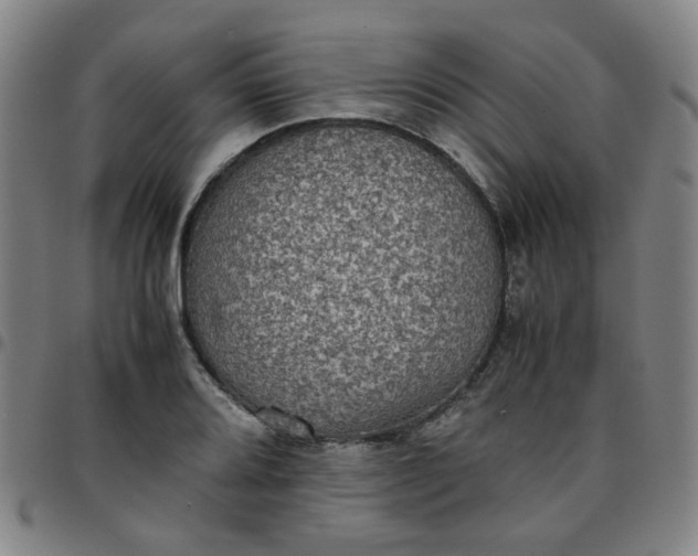 X0000097481080200803071711