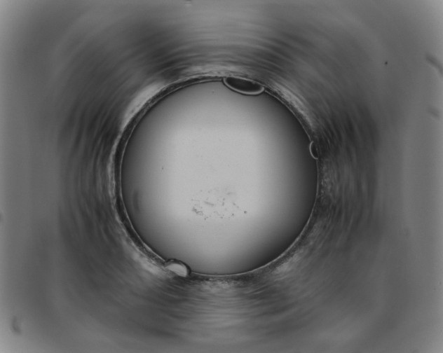 X0000097481082200803071711