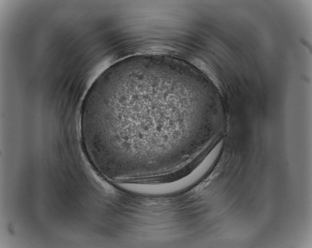 X0000097481083200803071711