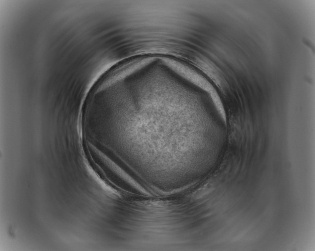 X0000097481084200803071711