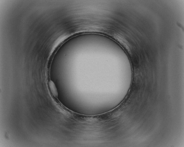 X0000097481085200803071711