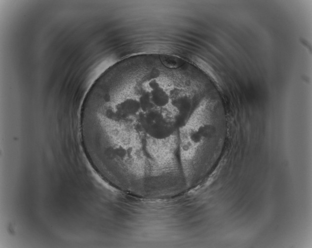 X0000097481087200803071711