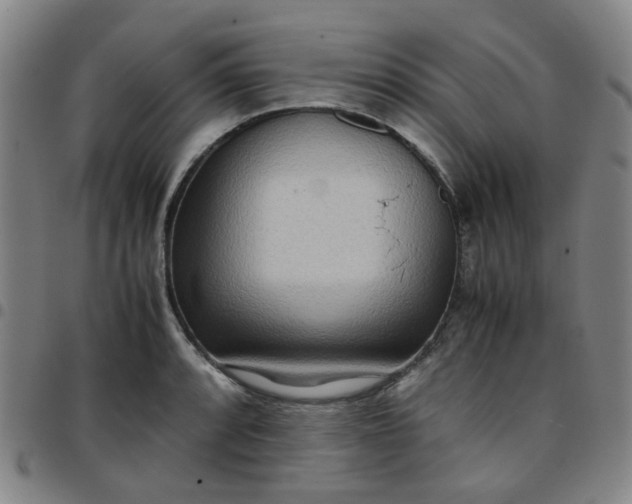 X0000097481088200803071711