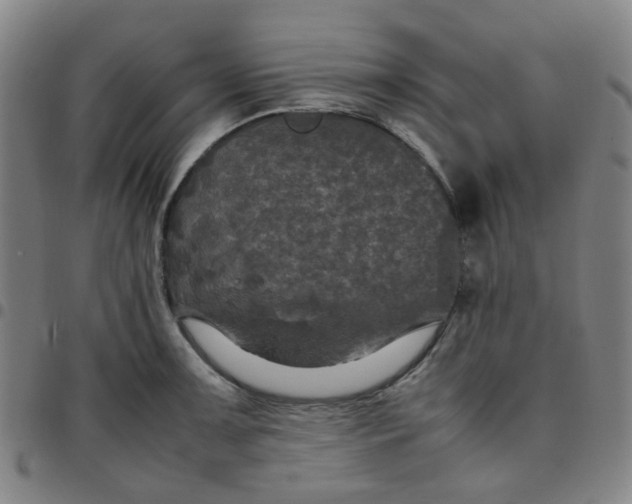 X0000097481091200803071711