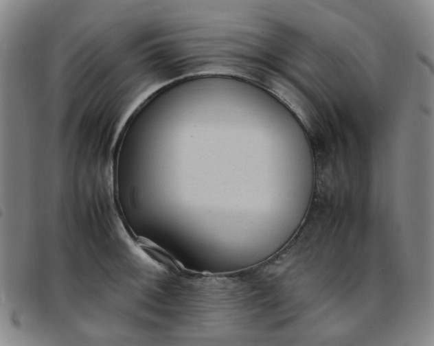 X0000097481092200803071711