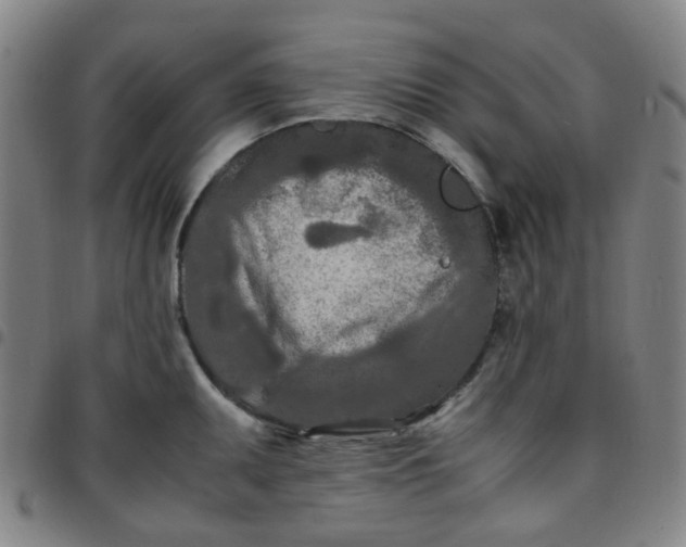 X0000097481095200803071711