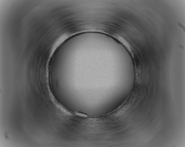 X0000097481096200803071711