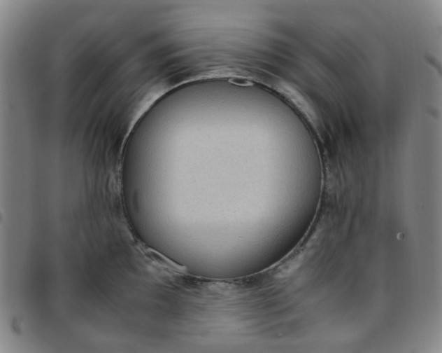 X0000097481097200803071711