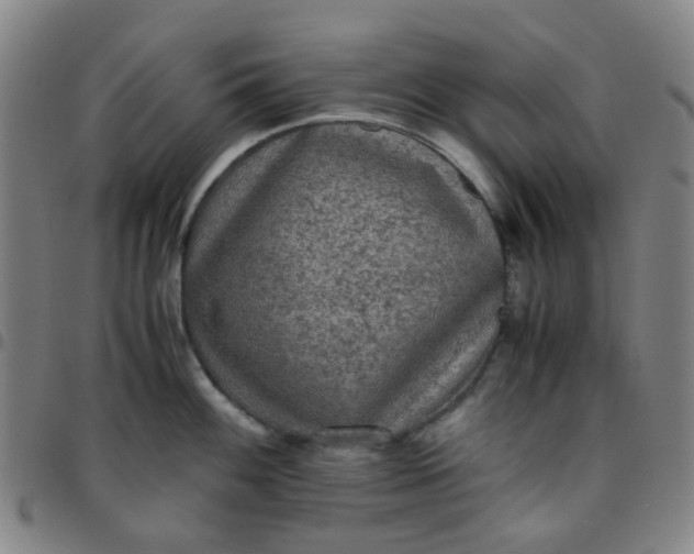 X0000097481100200803071711