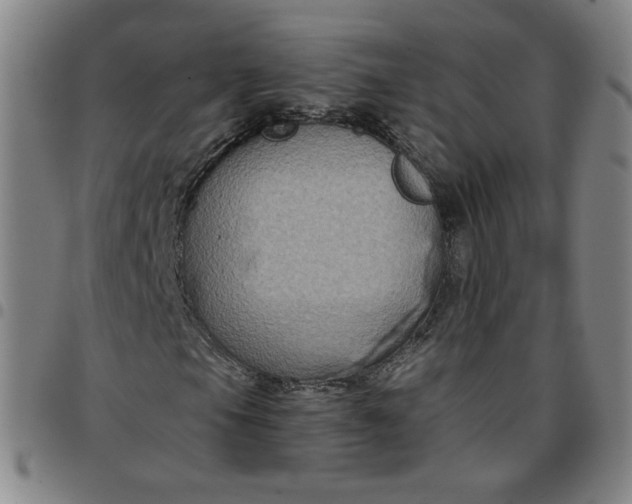 X0000097481105200803071710