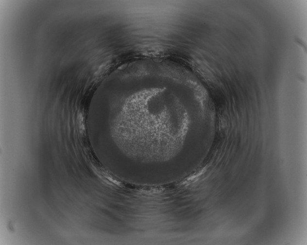 X0000097481106200803071710