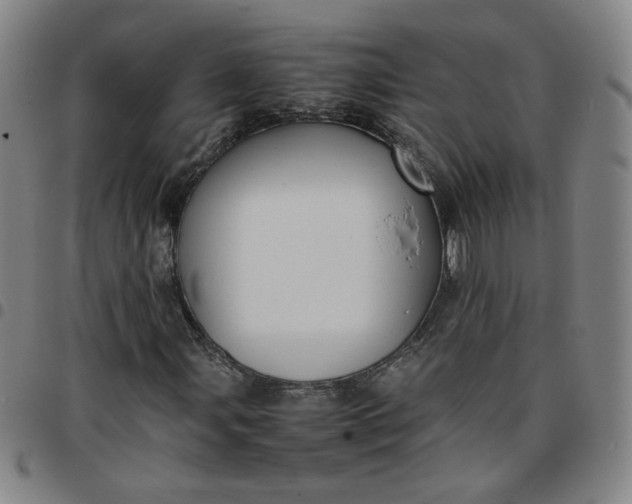 X0000097481107200803071710