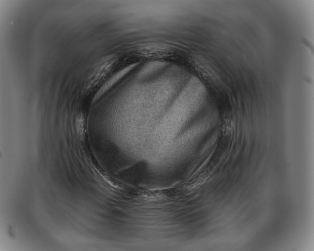 X0000097481108200803071710