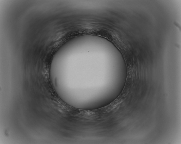 X0000097481109200803071710