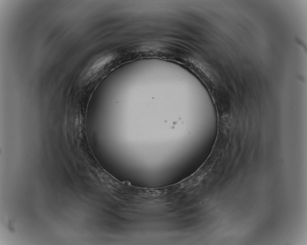 X0000097481111200803071710