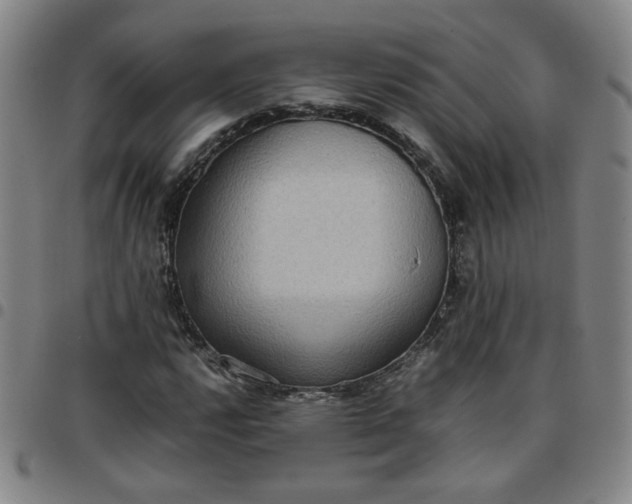 X0000097481112200803071710