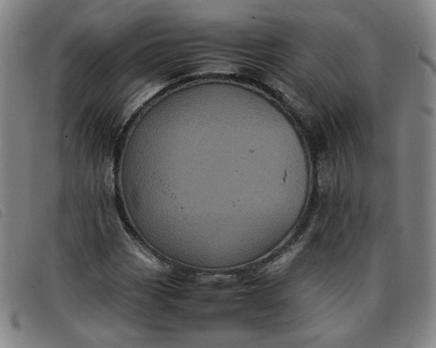 X0000097481113200803071710