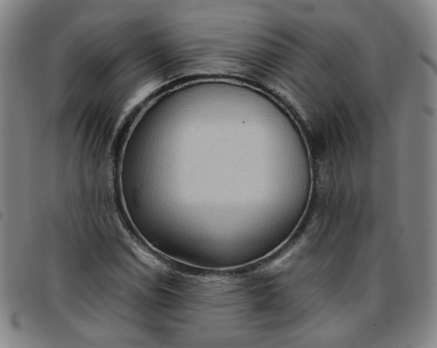 X0000097481114200803071710