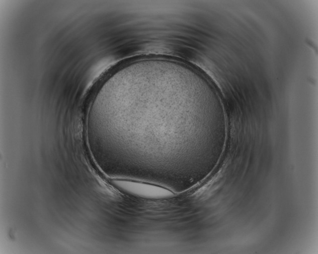 X0000097481115200803071710