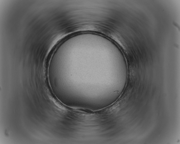 X0000097481116200803071710