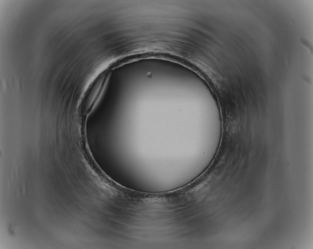 X0000097481118200803071710