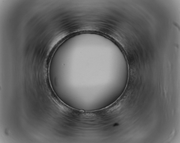 X0000097481119200803071710