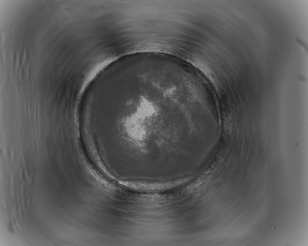 X0000097481120200803071710