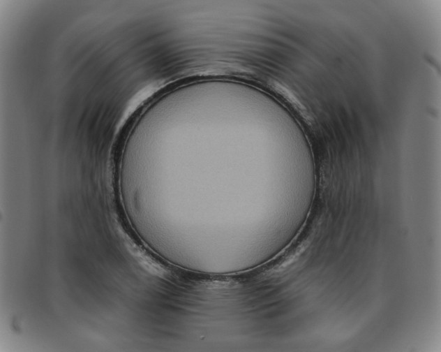 X0000097481122200803071710