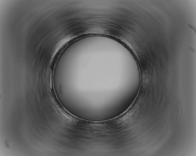 X0000097481123200803071710