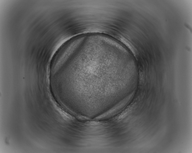 X0000097481124200803071710