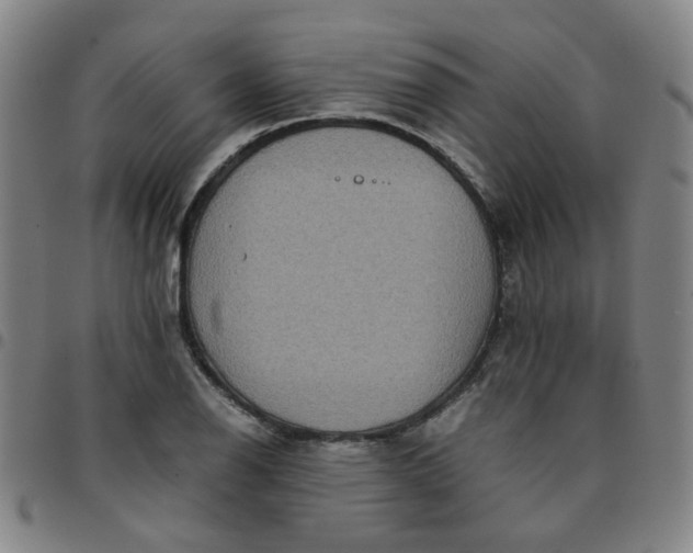 X0000097481126200803071710