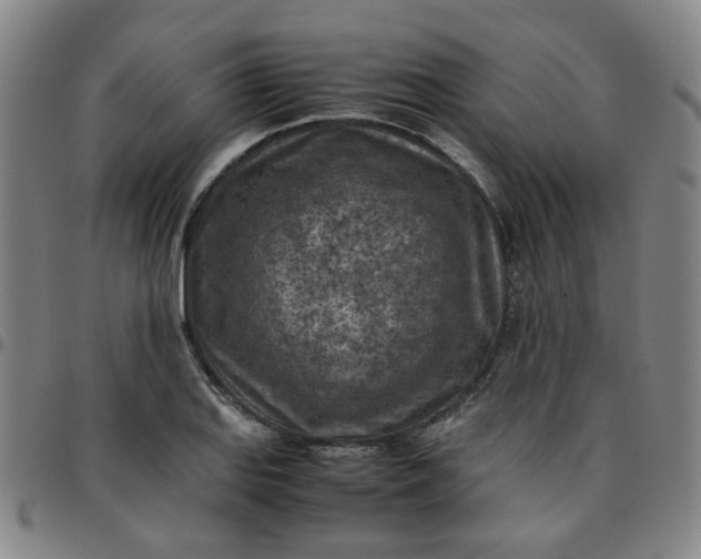 X0000097481127200803071710