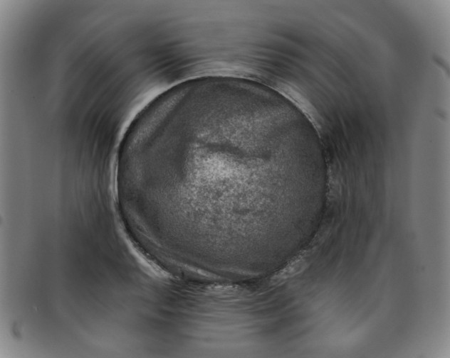 X0000097481128200803071710