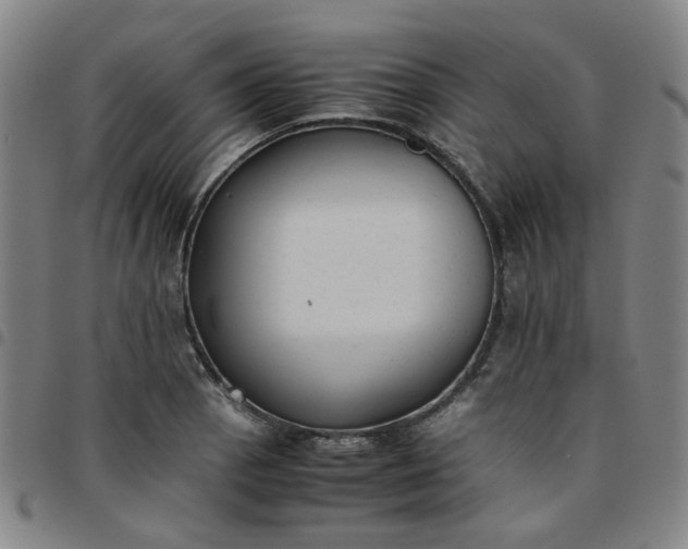 X0000097481129200803071710