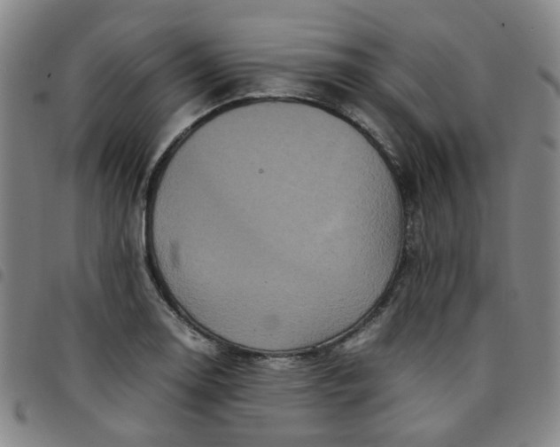 X0000097481130200803071710