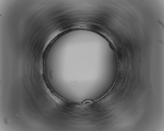 X0000097481131200803071710